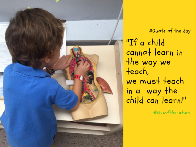 If a child cannot learn in the way we teach, we must teach in a way the child can learn!