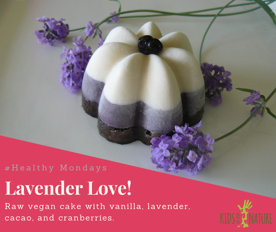 Lavender Raw Vegan Cake With Cranberries & Vanilla