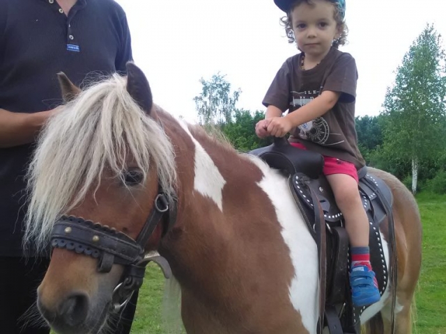 Pony, friendship, horse riding, kids
