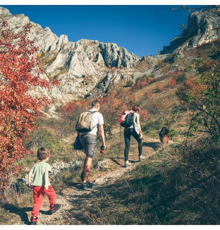Nature, family, dog, hiking 
