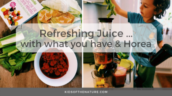 What You Have in Your Fridge - Refreshing Juice