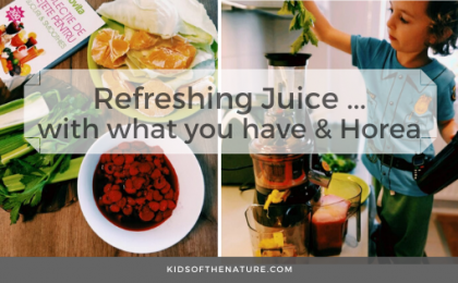 What You Have in Your Fridge - Refreshing Juice